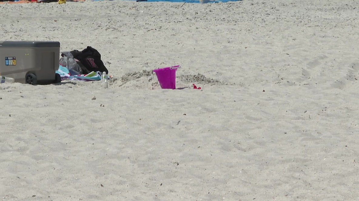 Florida organization doing its part to help sea turtles during nesting season